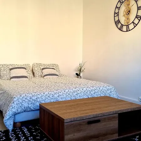 Apartment Studio En Plein Centre De Cannes